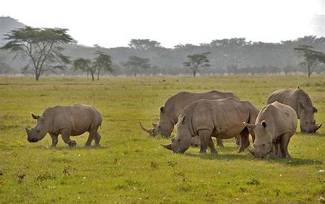 viajes y experiencias por  África.